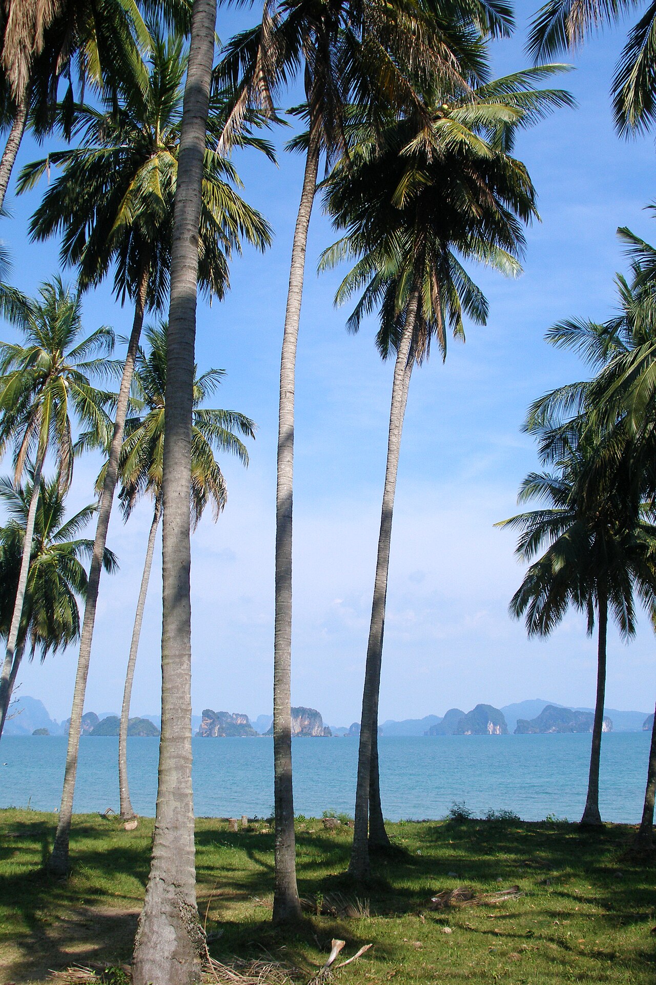 Koh Yao Noi